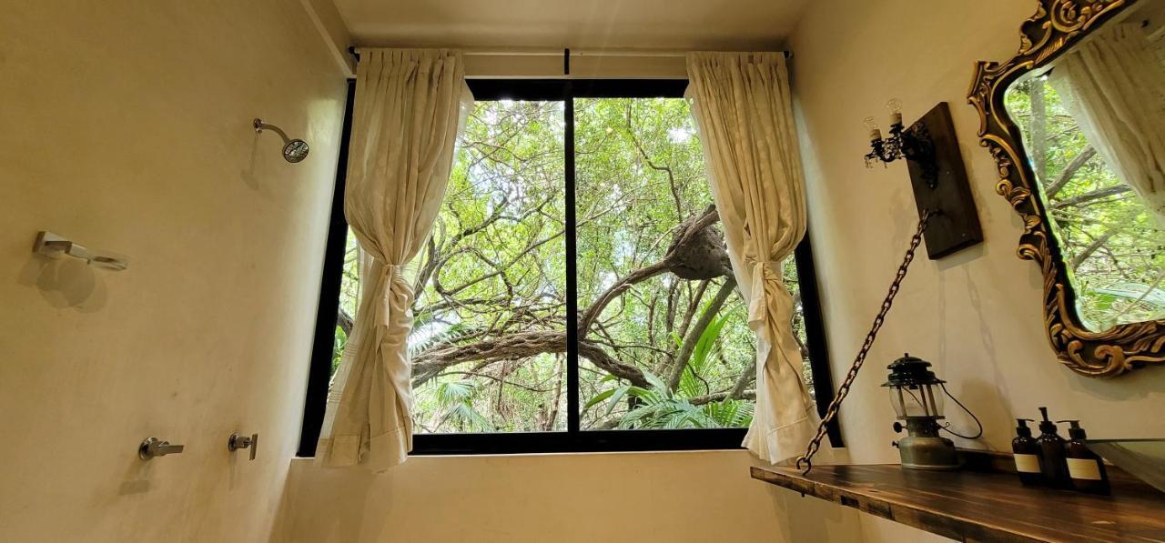 Hotel Casa Ambar & Boutique (adults Only)