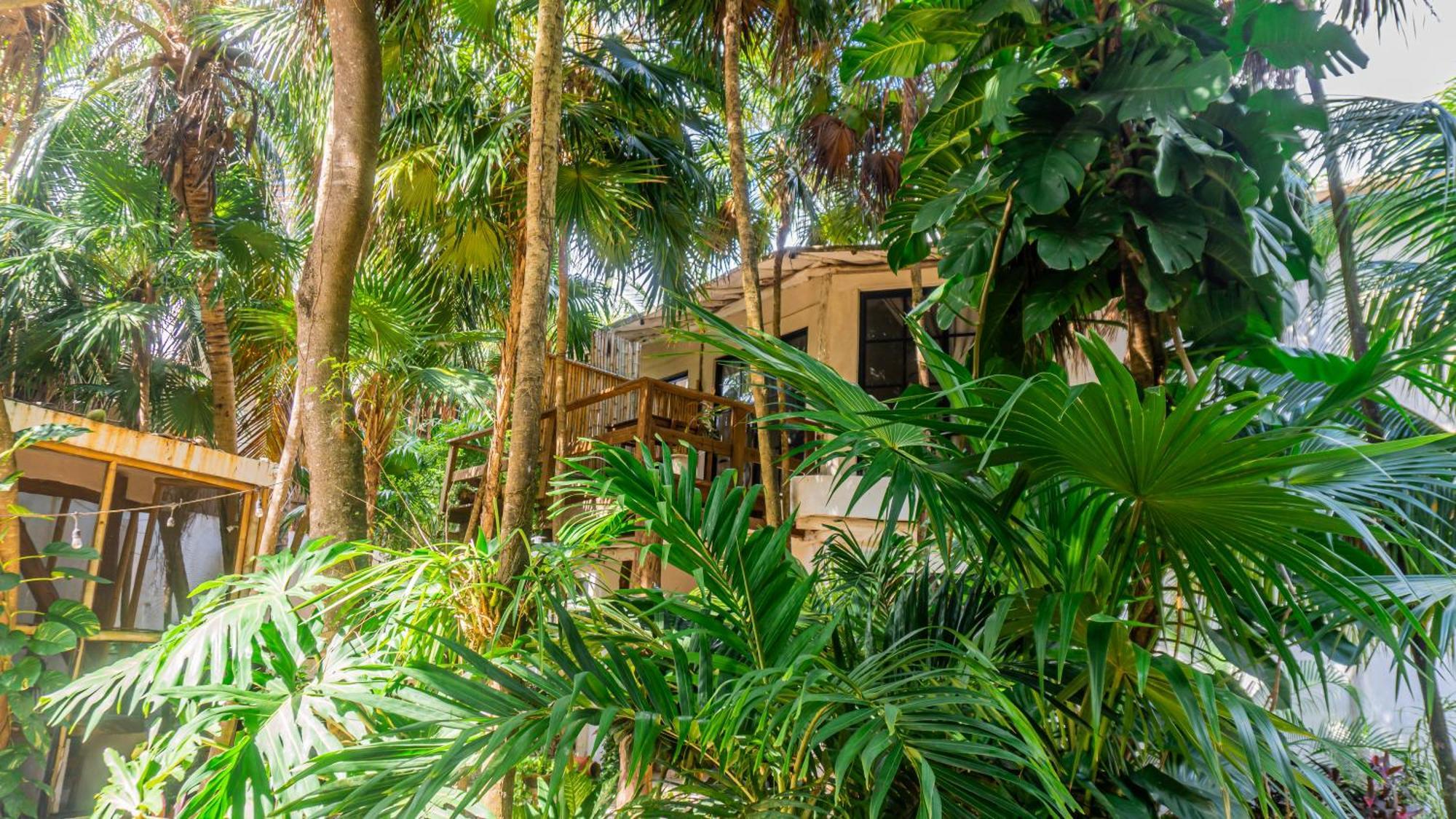 Hotel Casa Ambar & Boutique (adults Only)